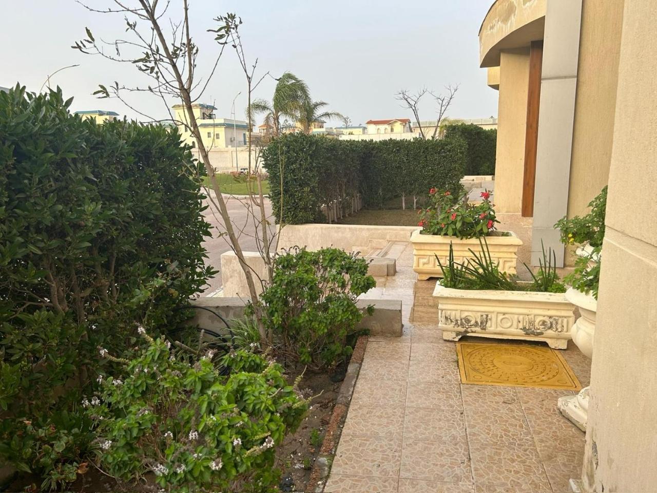 North Coast Sedra Villa, قرية سيدرا الساحل الشمالي Vila Alexandria